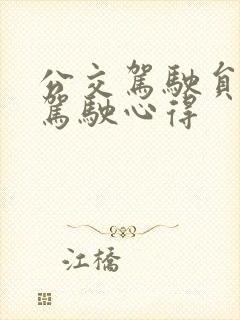 公交驾驶员安全驾驶心得
