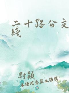 二十路公交车路线