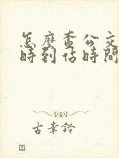 怎么查公交车实时到站时间