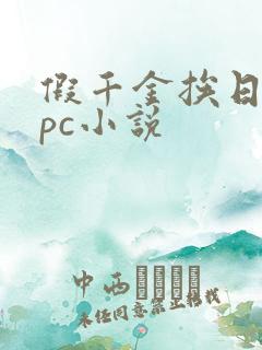 假千金挨日记npc小说