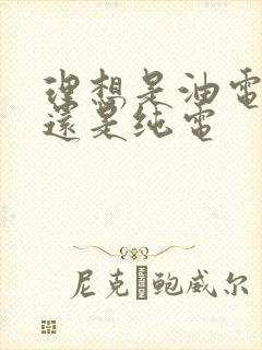 理想是油电混合还是纯电