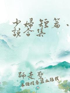 少妇 短篇 小说合集