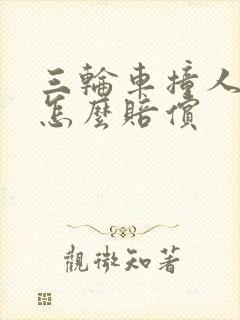 三轮车撞人全责怎么赔偿