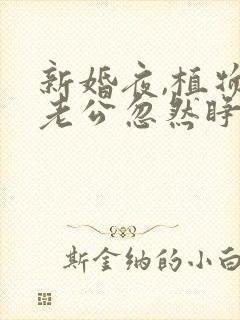 新婚夜,植物人老公忽然睁开眼电子书