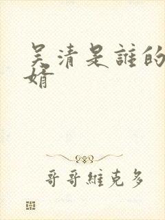 吴清是谁的侄女婿
