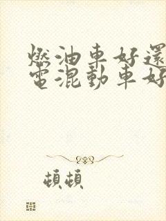 燃油车好还是插电混动车好