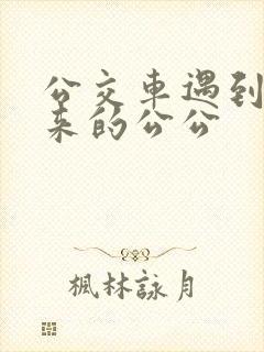 公交车遇到农村来的公公