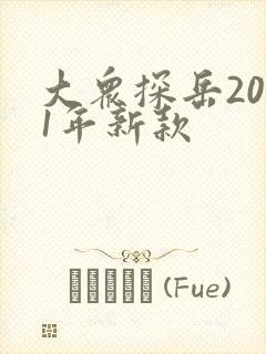 大众探岳2021年新款