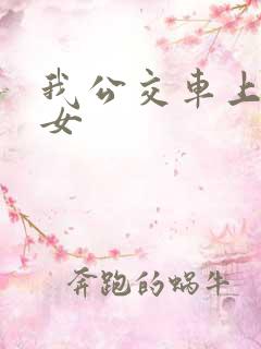 我公交车上插美女
