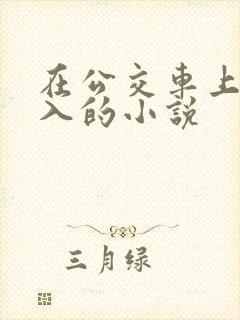 在公交车上被后入的小说