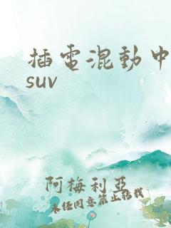 插电混动中大型suv