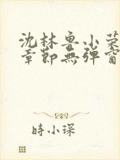 沈林鲁小荣最新章节无弹窗笔趣阁