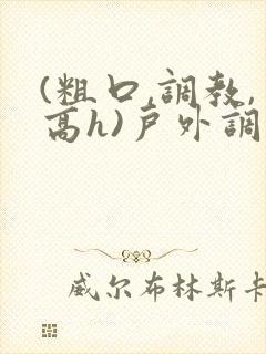 (粗口,调教,高h)户外调教