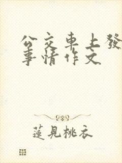 公交车上发生的事情作文