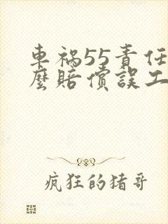 车祸55责任怎么赔偿误工费