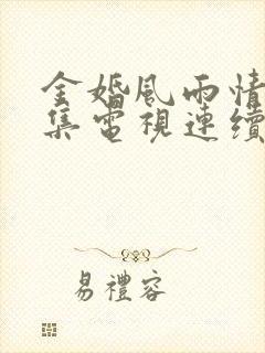 金婚风雨情50集电视连续剧