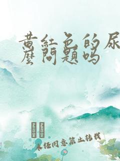 黄红色的尿有什么问题吗