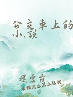 公交车上的爱爱小.说