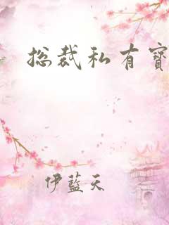 总裁私有宝贝