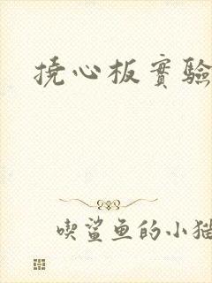 挠心板实验动漫