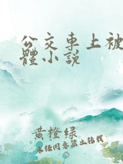 公交车上被摸下体小说