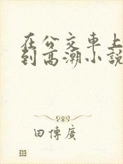 在公交车上被弄到高潮小说