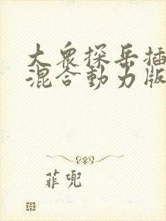 大众探岳插电式混合动力版