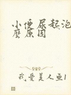 小便尿起泡是什么原因
