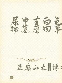 尿中有白色沉淀物怎么回事