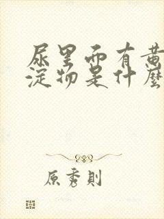 尿里面有黄色沉淀物是什么原因