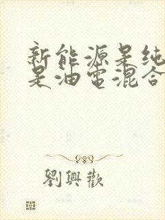 新能源是纯电还是油电混合