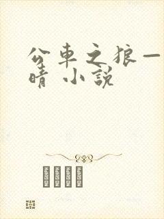 公车之狼——诗晴 小说