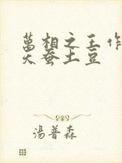 万相之王作者:天蚕土豆