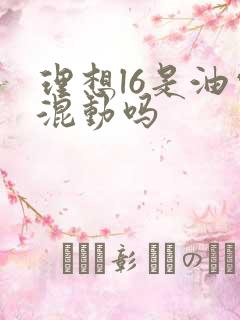 理想l6是油电混动吗