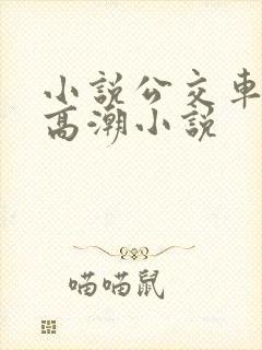 小说公交车被上高潮小说