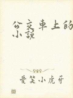 公交车上的艳情小说