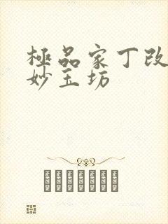 极品家丁改编之妙玉坊