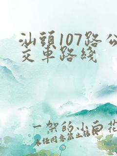 汕头107路公交车路线
