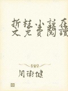 折枝小说在线全文免费阅读无弹窗