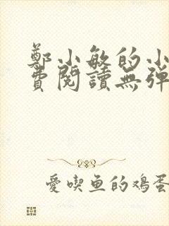 郑小敏的小说免费阅读无弹窗