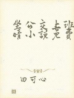 坐公交上班的苏晴小说免费阅读