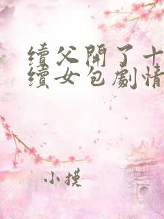 续父开了十七岁续女包剧情介绍