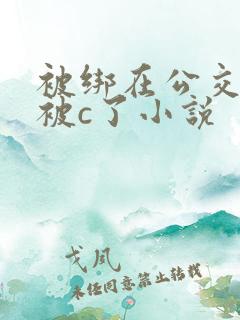 被绑在公交车里被c了小说