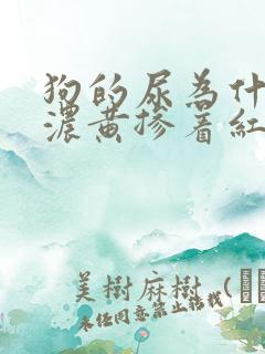 狗的尿为什么是浓黄掺着红色