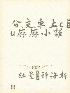 公交车上c巨ru麻麻小说