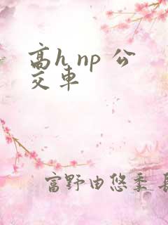 高h np 公交车
