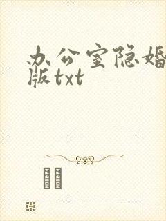办公室隐婚完整版txt