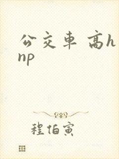 公交车 高h np