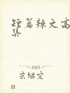 短篇辣文高h合集