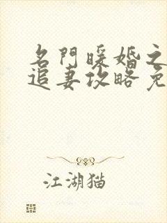 名门暖婚之权爷追妻攻略免费全文阅